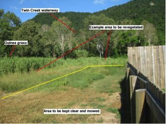 A section of the reserve at Cannonvale and an example of the proposed work.