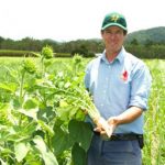 Simon Mattsson provides a case study into inter-cropping and sunflowers Simon Mattsson from Marian