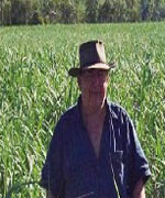 Dennis and Annette Werner and John Werner present a case study on assessment of sub surface applied mill mud as a component of seasonal nutrient program in sugar cane Dennis Werner