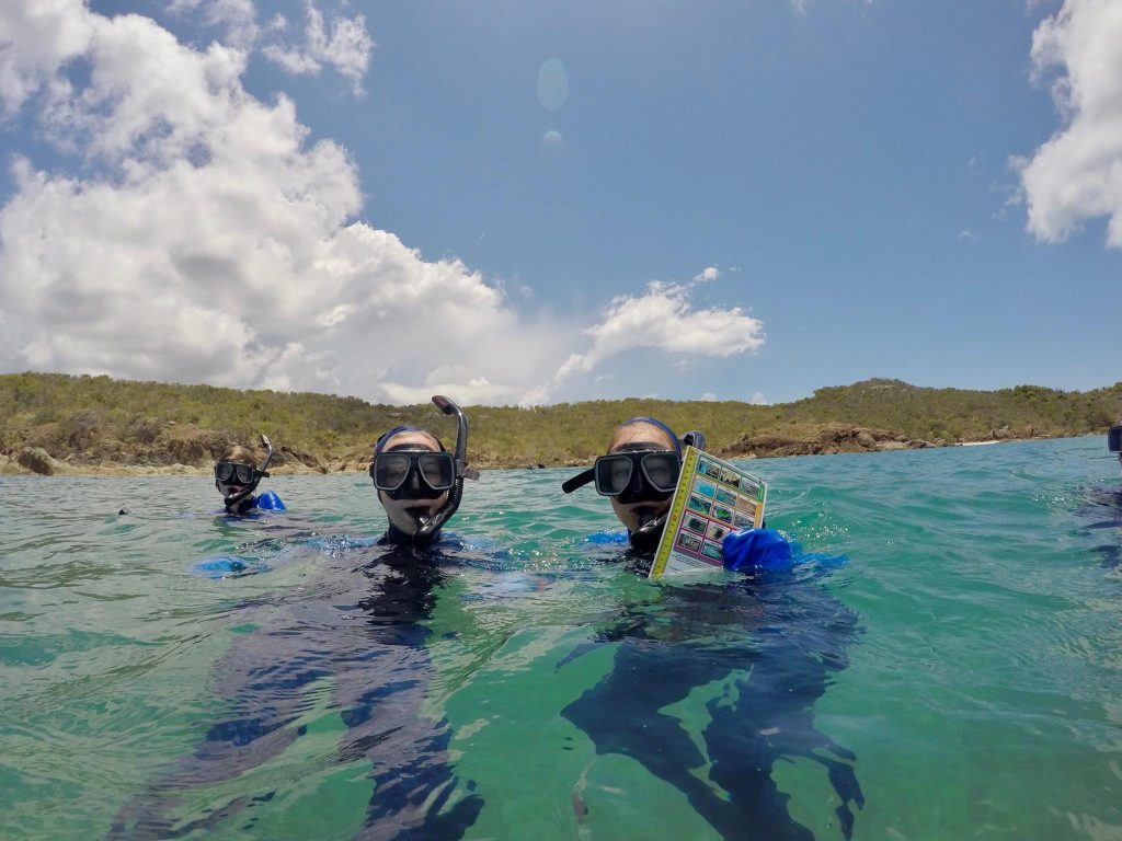 Students swimming.