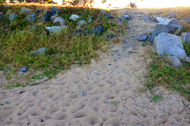 Sand walkway on beach front.