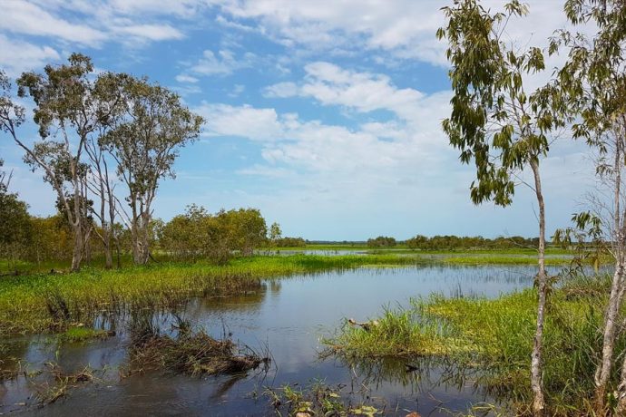 Regional Wetland Working Group - Reef Catchments