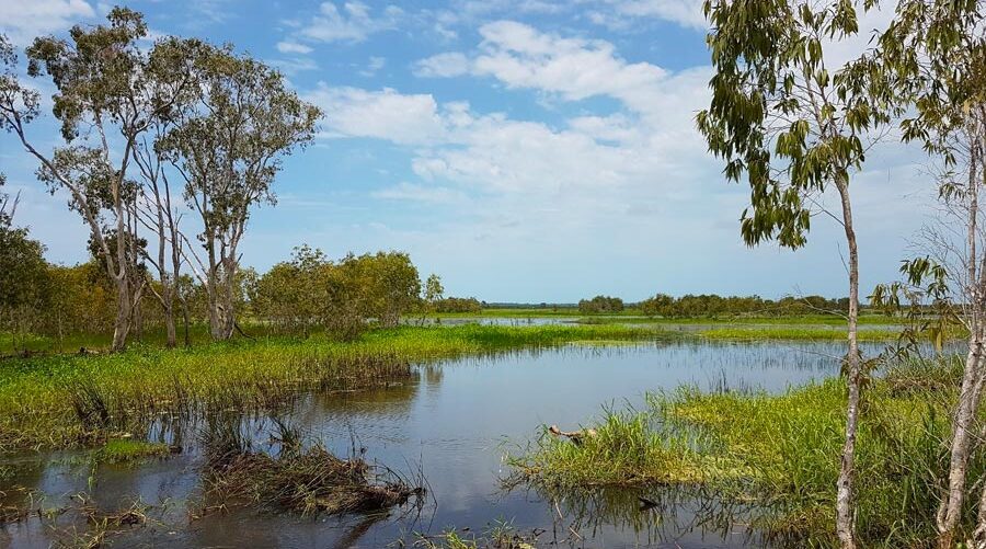 Mackay wetlands.