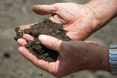 Photograph of soil illustrating soil health