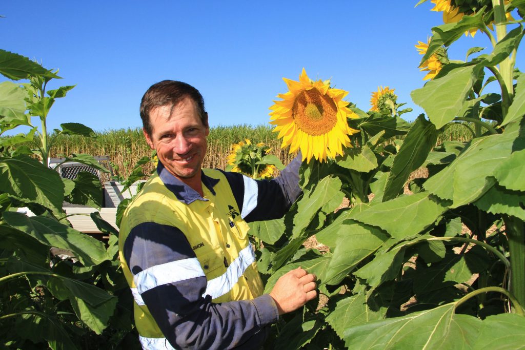 Simon Mattsson and sunflowers.