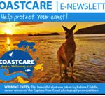Coastcare eNewsletter cover of kangaroo on a beach.