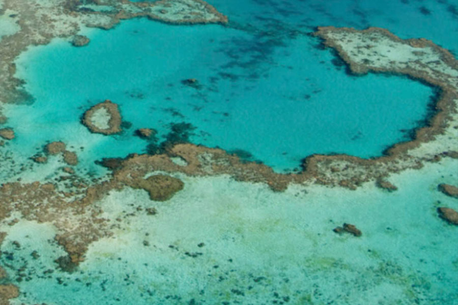 Aerial view of ocean and coral.