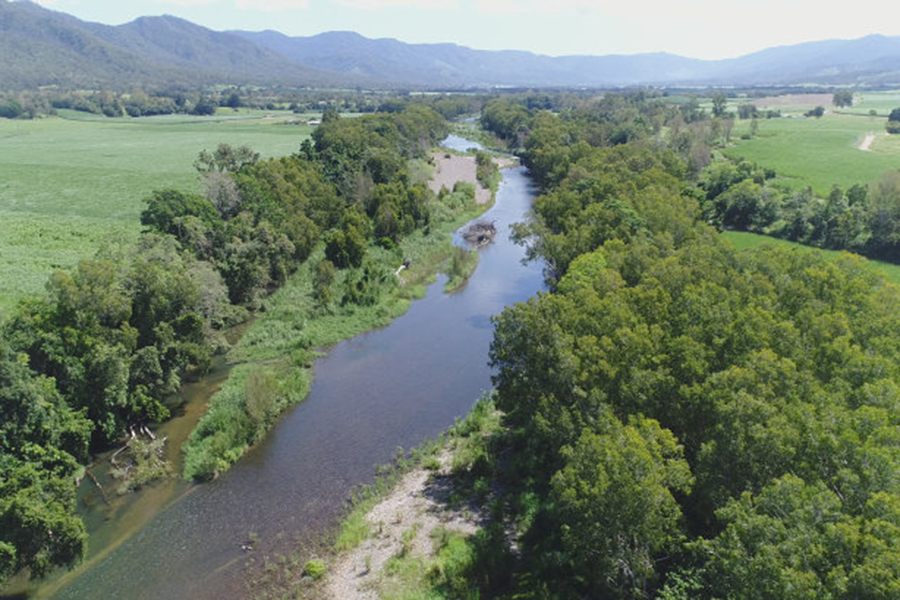 Aerial view of riparian revegetation in Mackay.