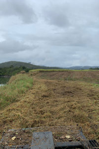 Reef Trust 4, Mackay, Murray Creek, site preparation prior to revegetation to protect an eroding bank.
