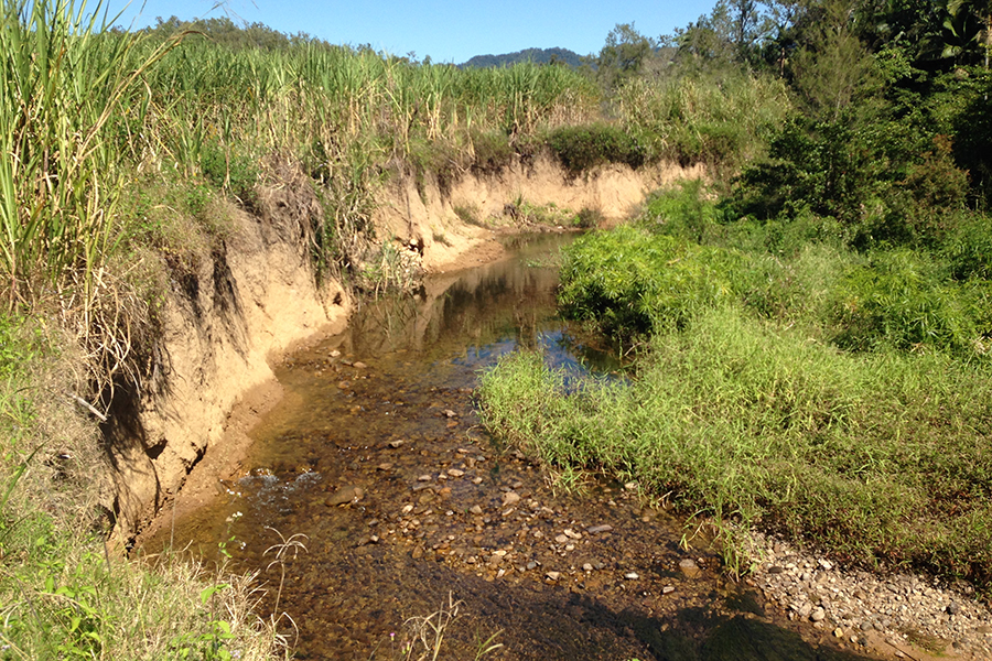 Erosion on a creek bank.
