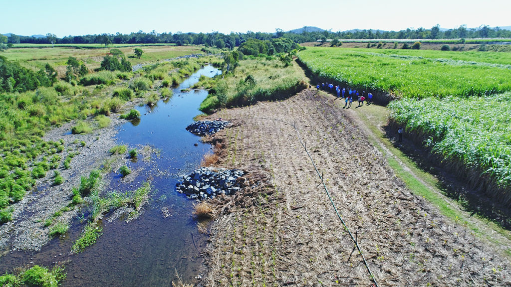 Drone shot of rock groynes and revegetation along the O'Connell River.