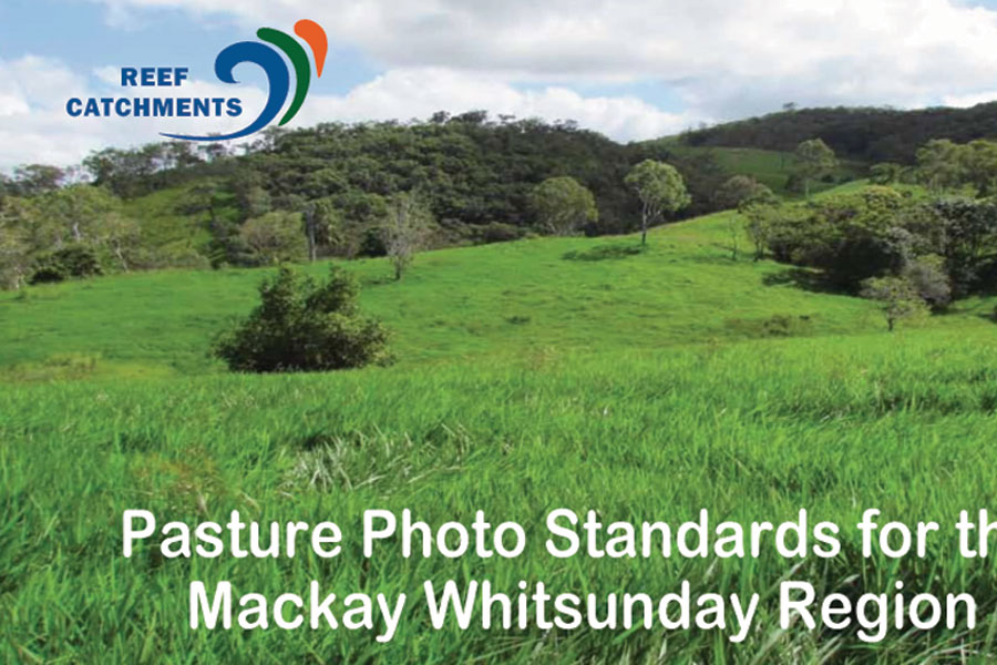 Cover for Pasture Standards Guide.
