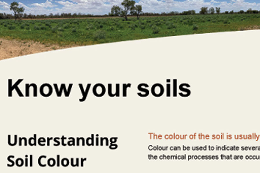 Flyer for understanding soil colour.