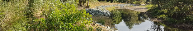 Waterways - stream bank restoration