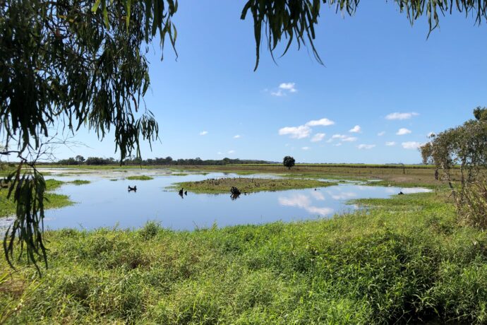 view over wetlands