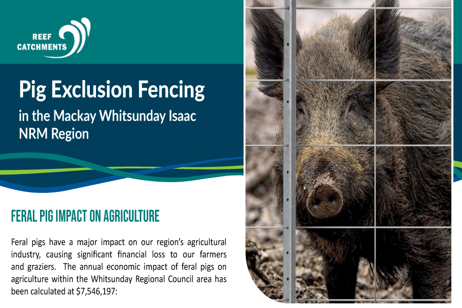 Pig Exclusion Fencing first page screenshot - pig behind fence with supporting text and Reef catchments Logo