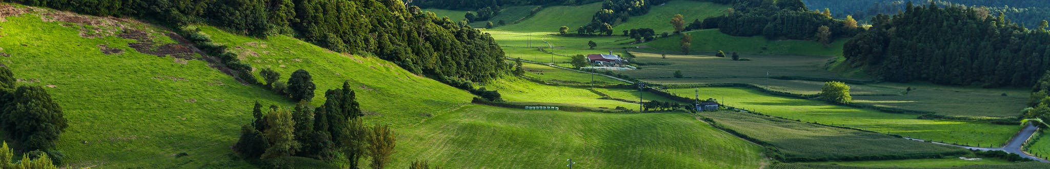 landscape photography of green field.