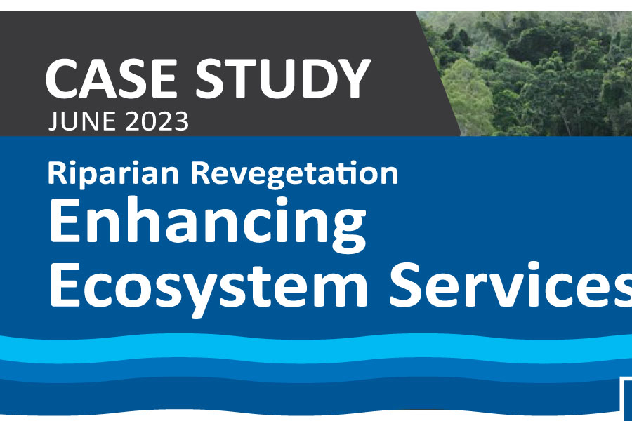 Riparian Revegetation Enhancing Ecosystem Services Cover page snippet.