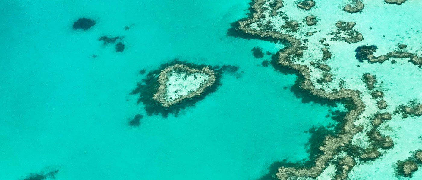 Aerial view of the great barrier reef heart shaped coral
