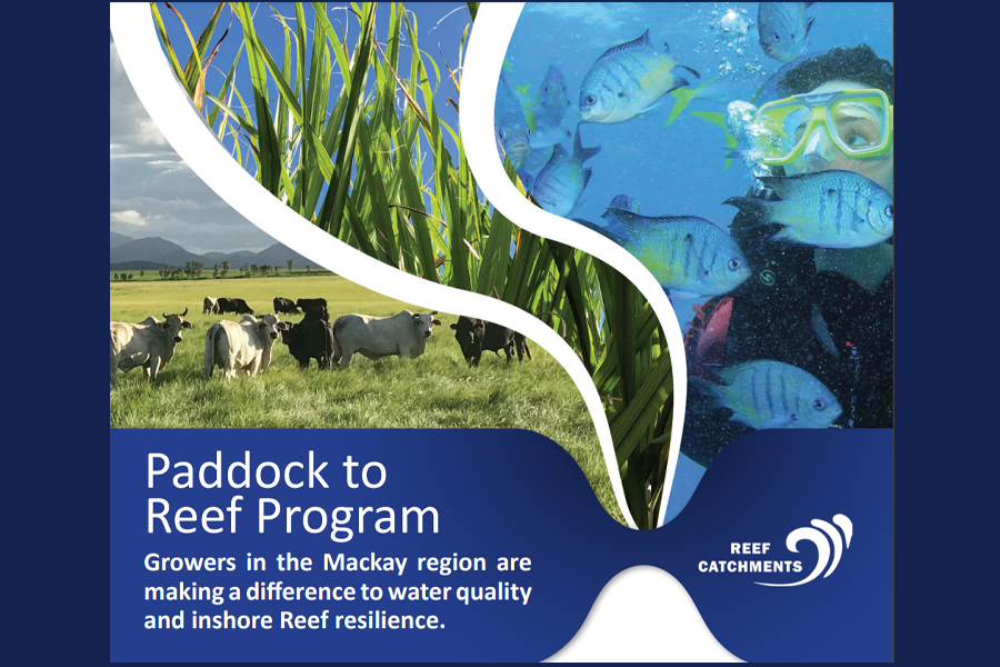 Paddock to Reef article cover