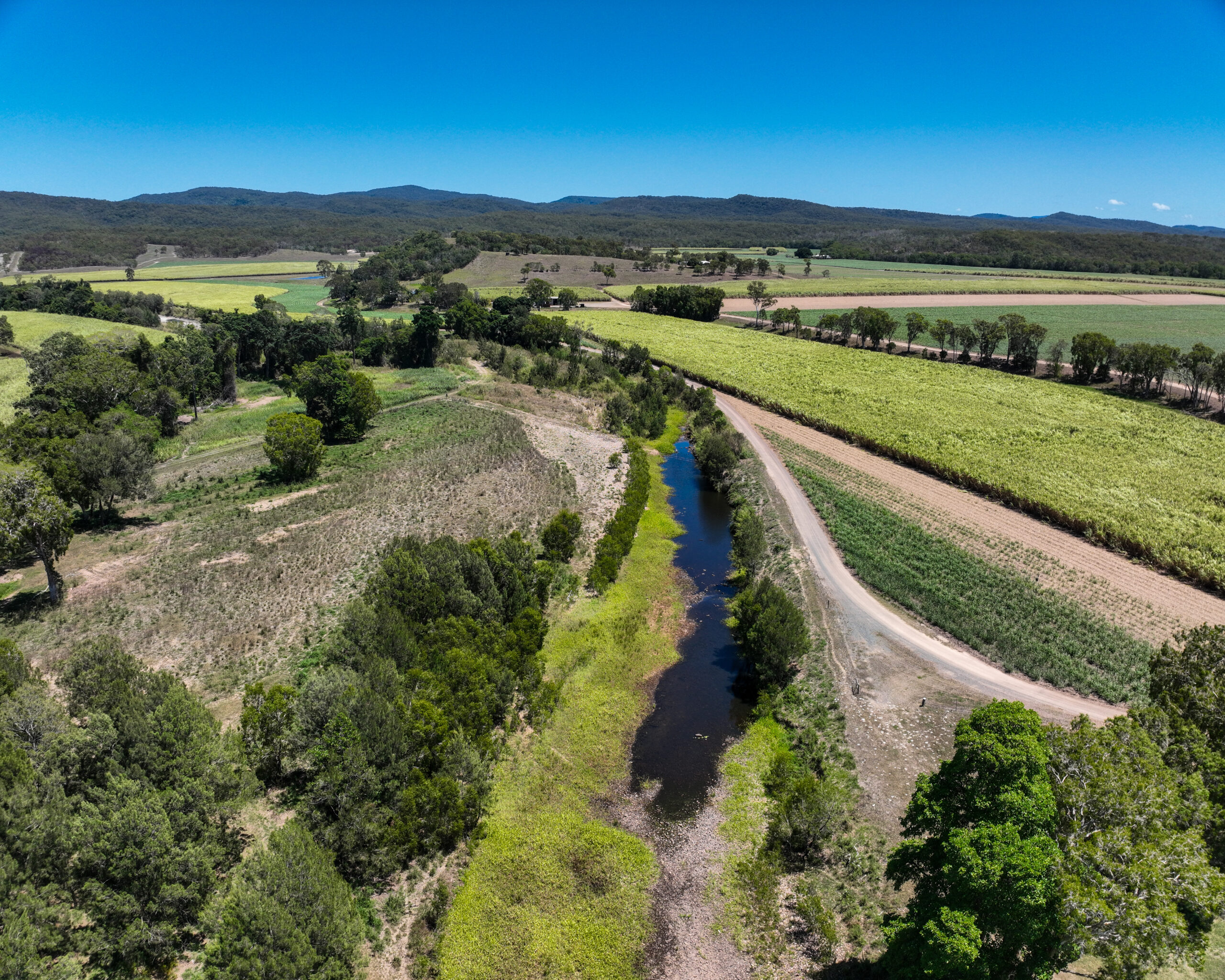 Drone image of West Hill Creek Streambank. Picturing water in the creek and vegetation, with a neighbouring cane field. 