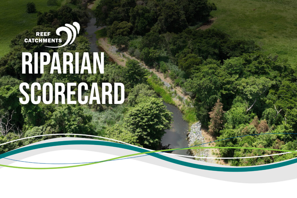 Riparian Scorecard resource feature image, with picture of streambank, river, reef catchments logo and headline "Riparian Scorecard."