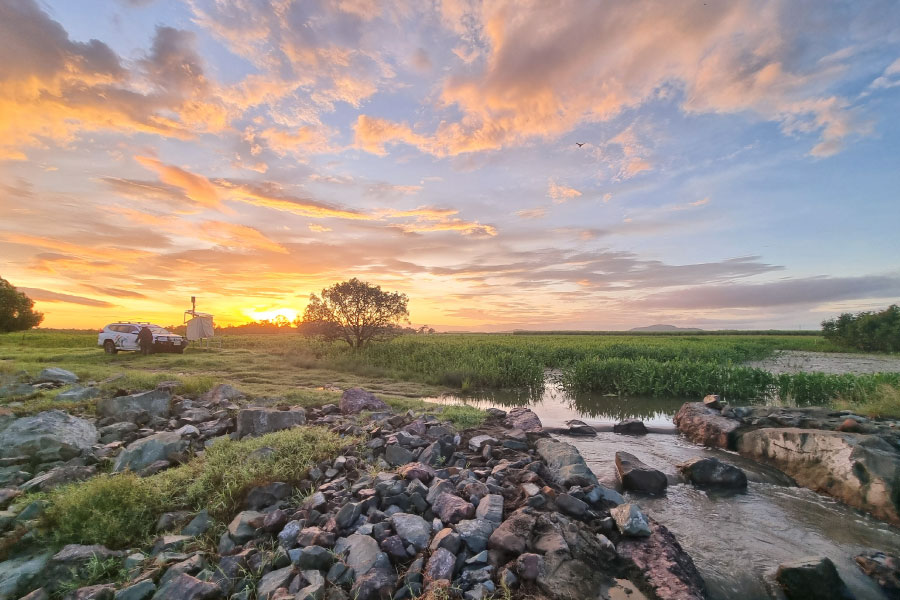 Sunrise over fishway at Sandringham Wetlands Mackay