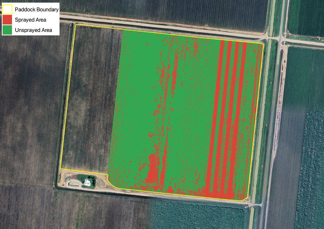 Sustainable Agriculture aerial picture showing red targeted areas for AI spraying