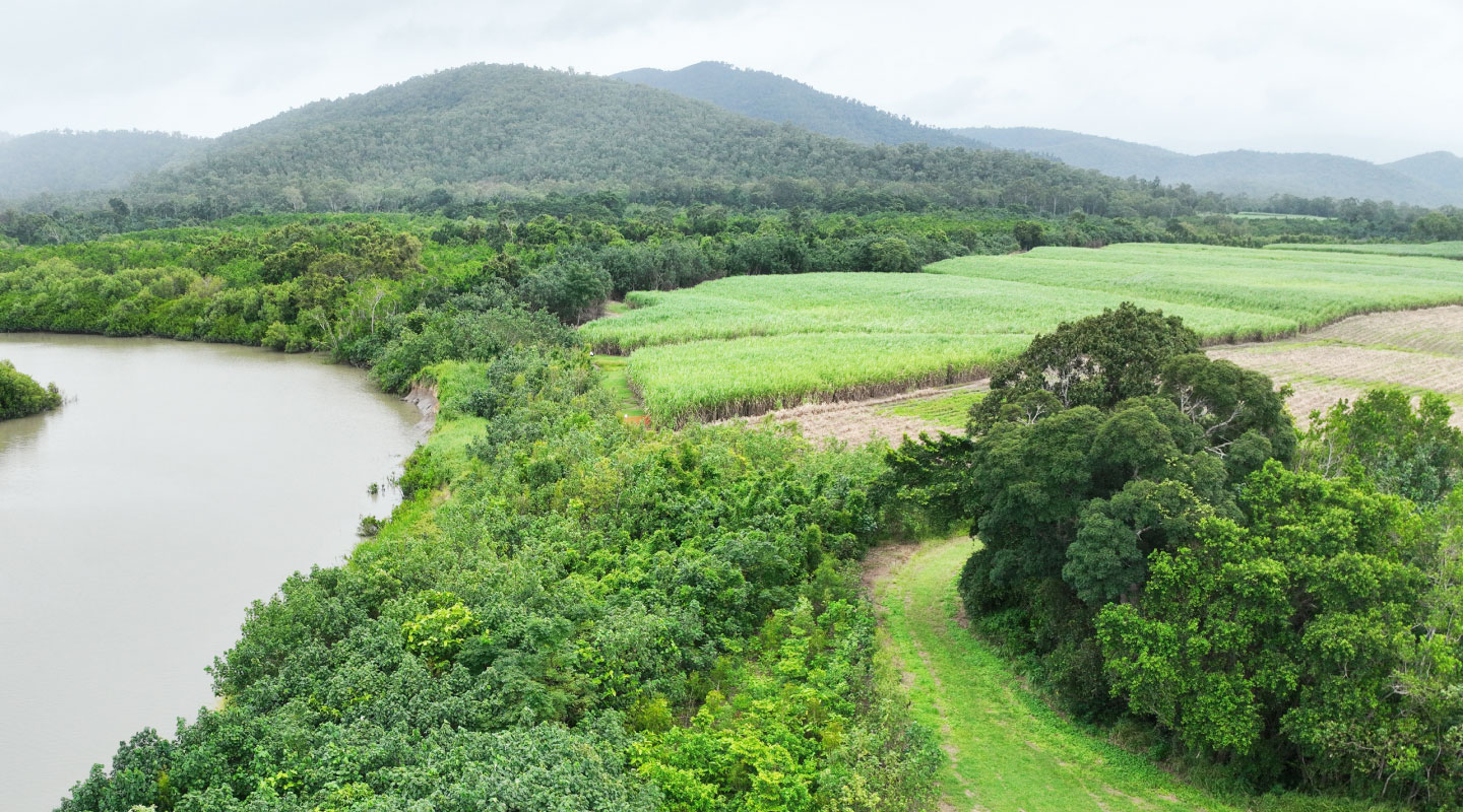 Catchment Sustainability Plan - Reef Catchments