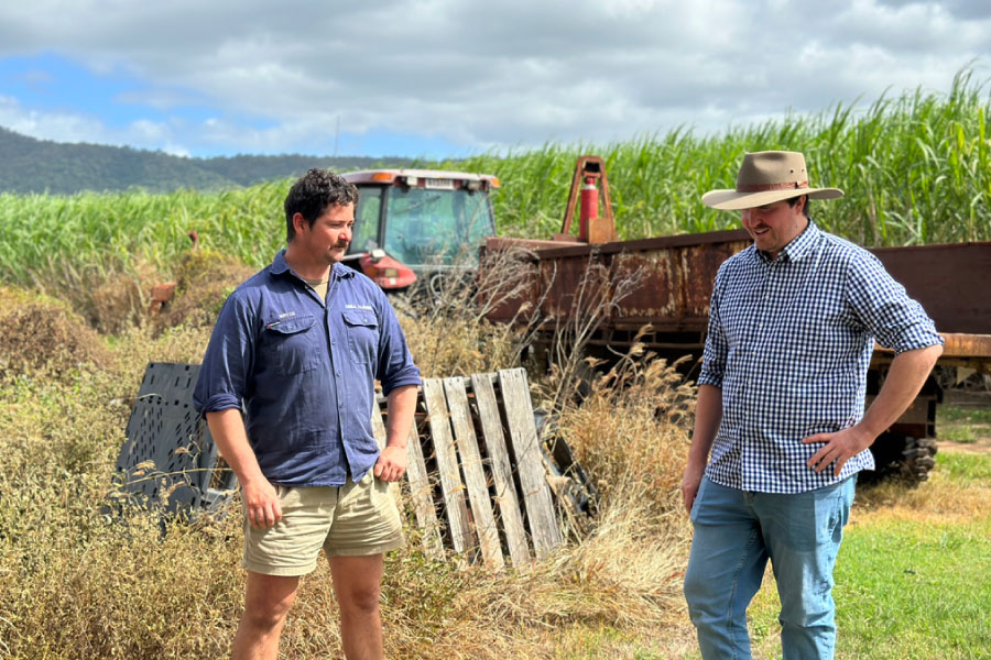 Two men talking in cane field