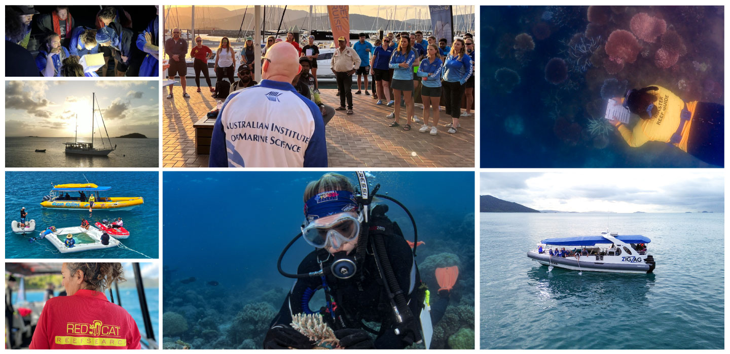 Images of Tourism Operators during Coral restoration projects