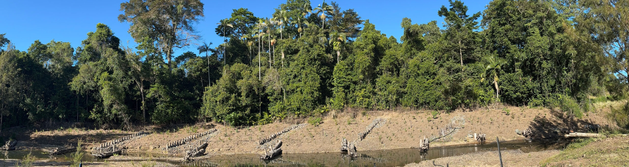 Murray Creek showing streambank landscaping with rows of pilons and tall vegetation behind