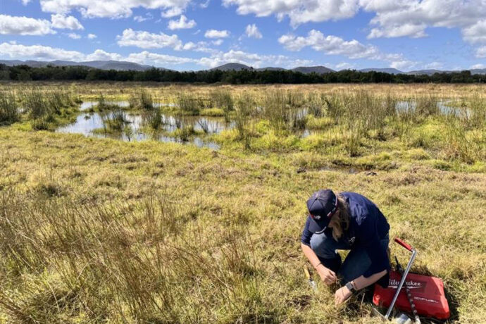 Reef Catchments Sustainable Agriculture team checking soil and grass on rural property