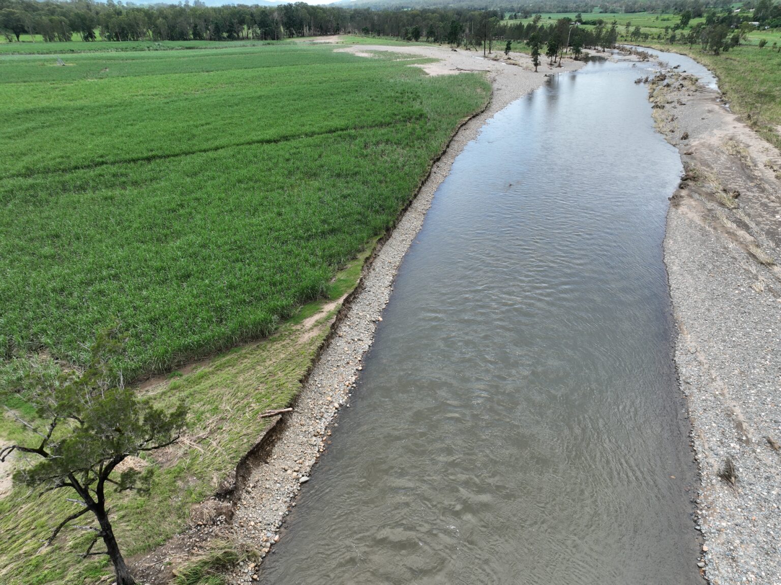eroded streambank along cattle creek adjacent to sugarcane fields