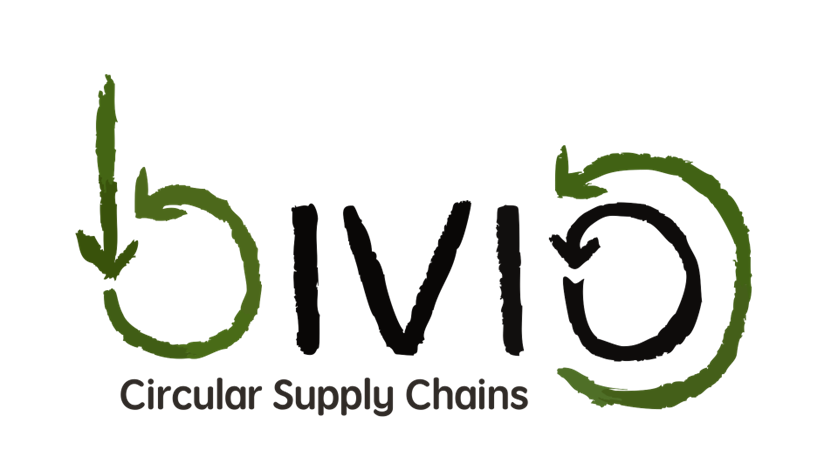 Bivio consulting logo