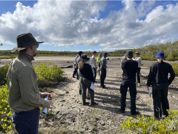 MangroveWatch training at the Bucasia saltmarsh