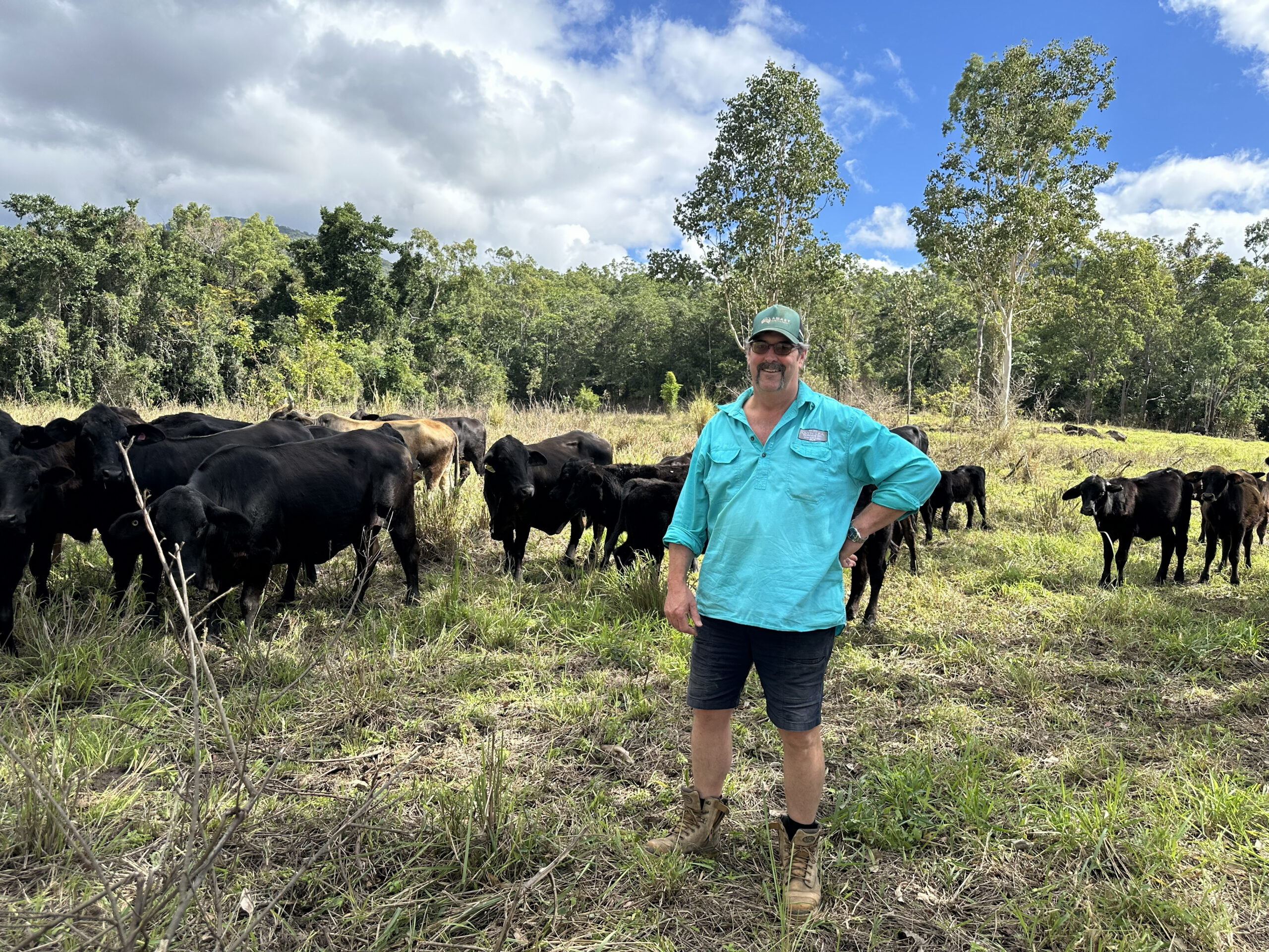 Owen standing with a herd of black brangus cors